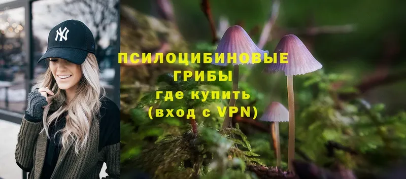 Псилоцибиновые грибы Magic Shrooms  даркнет официальный сайт  Краснозаводск 